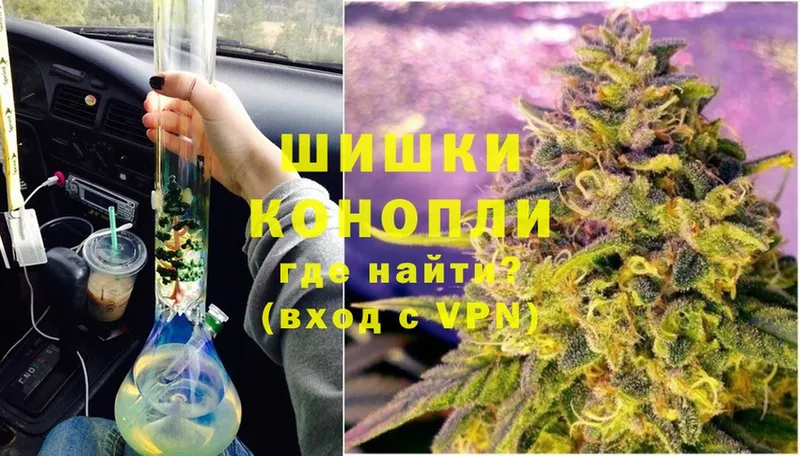 где найти   Анива  Канабис гибрид 